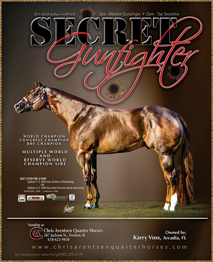 Quarter Horse Stallions - Secret Gunfighter